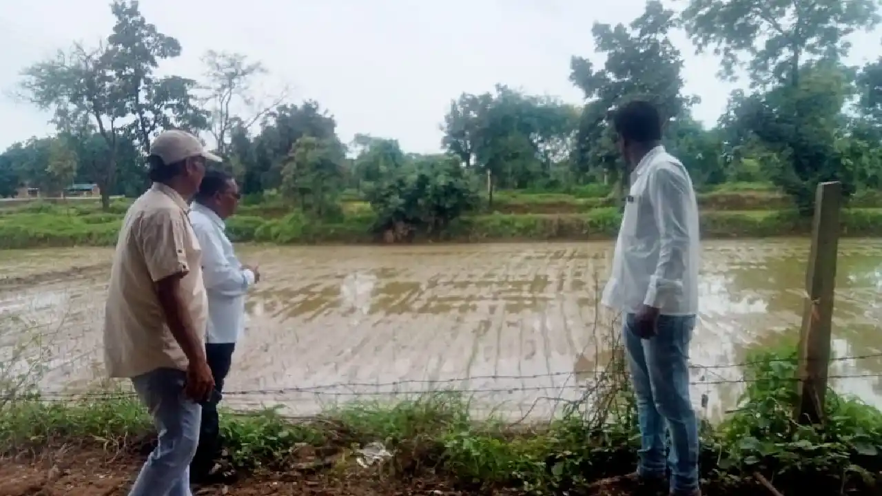 पैडी ट्रांसप्लांटर तकनीक से धान रोपाई के लिए किसानों को किया... - CG Sandesh
