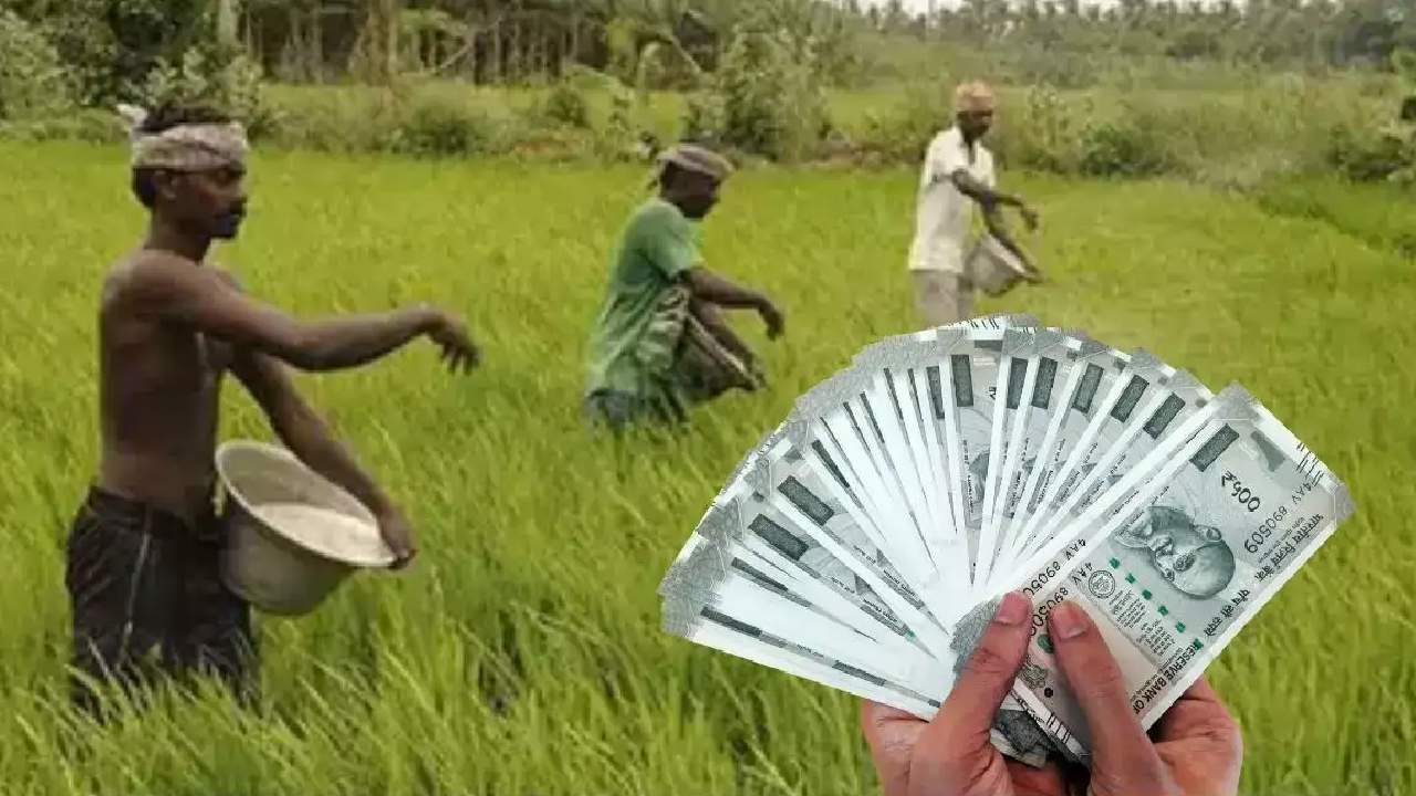 CG : किसानों को मिला ब्याज मुक्त ऋण; रोजगार आधारित योजनाओं क... - CG Sandesh