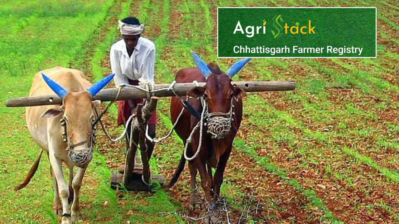 किसान पंजीयन और ई-ऑफिस प्रणाली लागू करने पर विशेष जोर - CG Sandesh