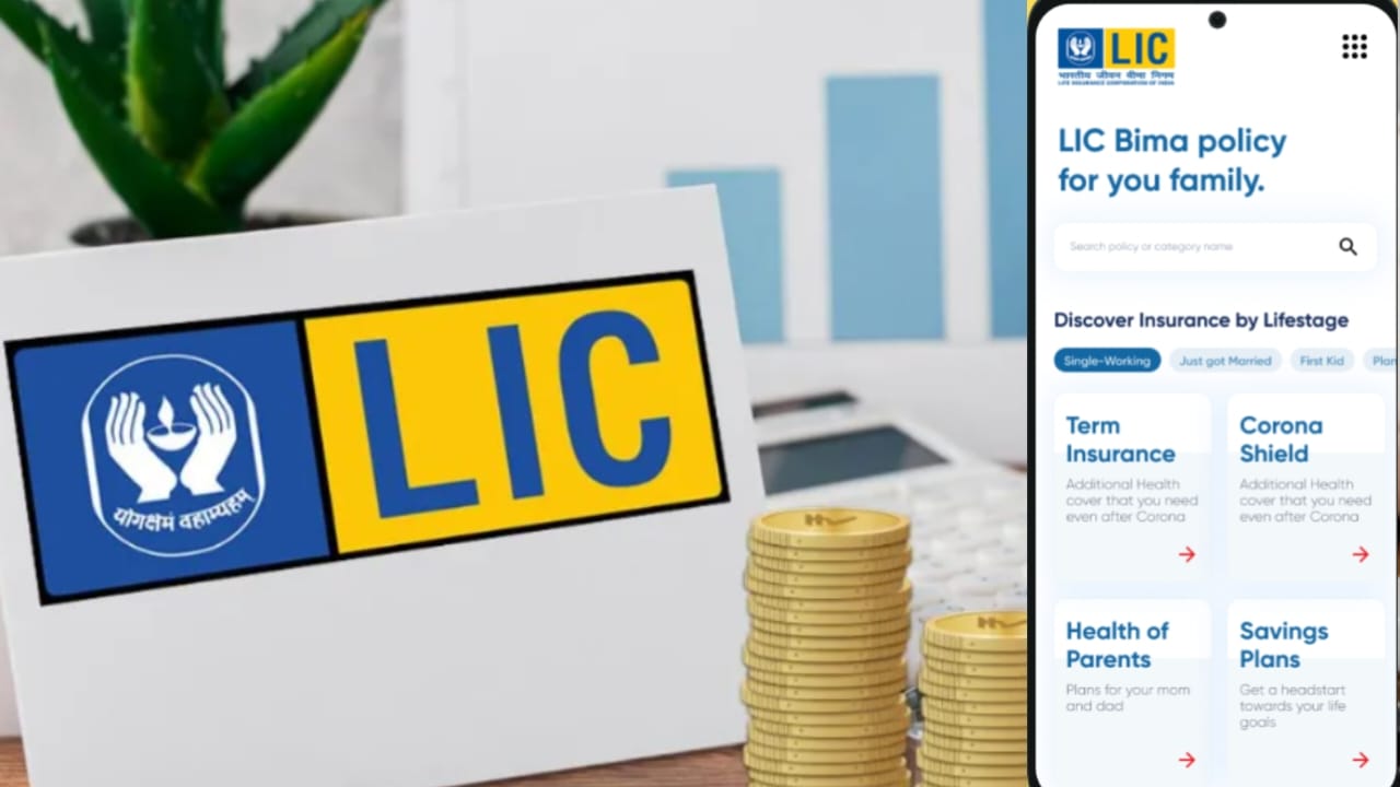 हर महीने कमाई? LIC की ये 4 योजनाएं बना सकती हैं मालामाल, जान... - CG Sandesh