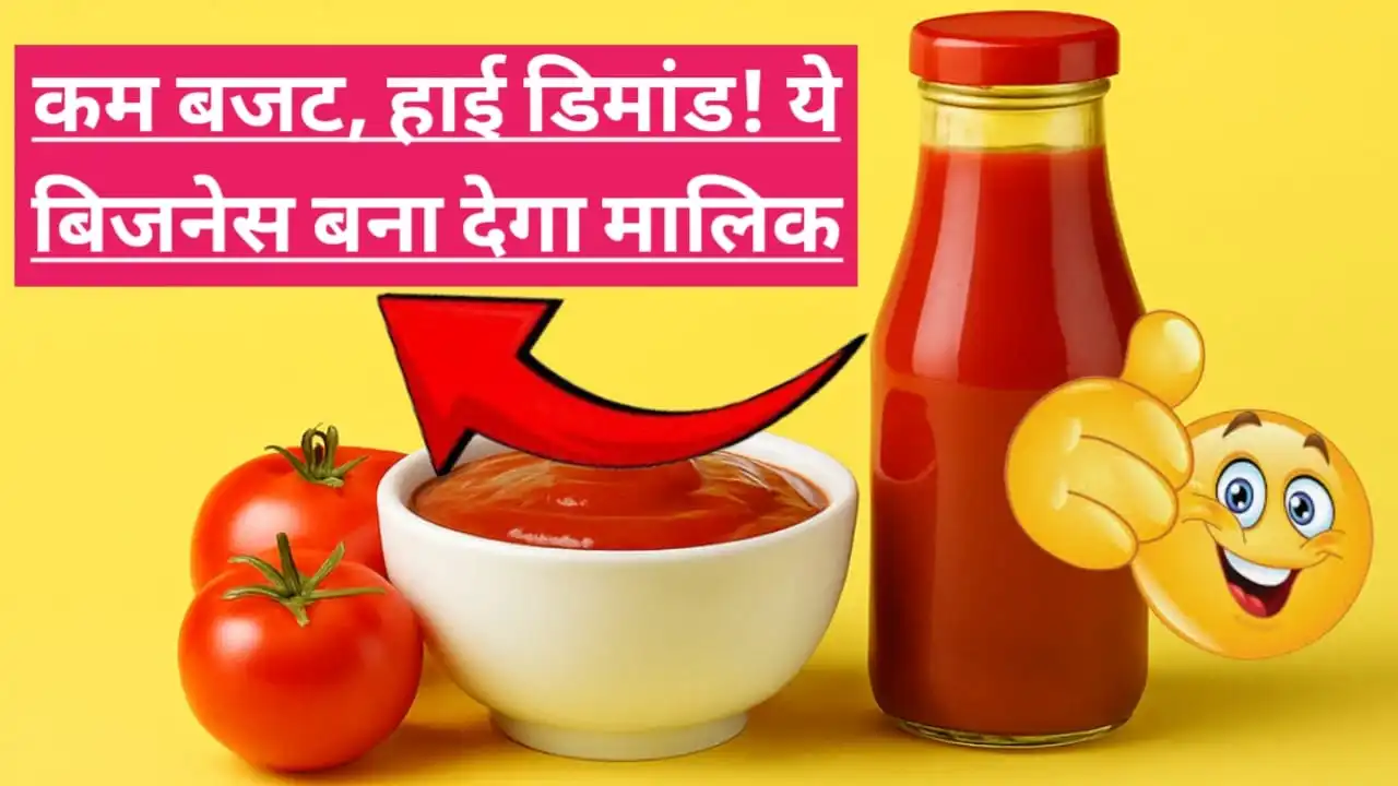 8 लाख से कम में शुरू करें टोमैटो सॉस का बिजनेस, जबरदस्त डिमा... - CG Sandesh