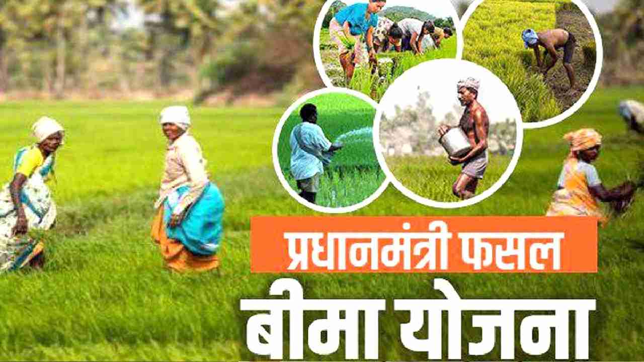 फसल बीमा कराने की अवधि बढ़ी, किसानों को बीमित राशि का 2 प्रति... - CG Sandesh