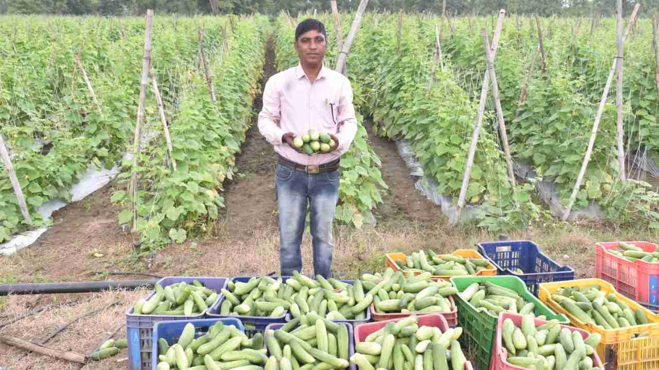 सरकार  की योजनाओं से मिला संबल, किसान की बदली तकदीर - CG Sandesh