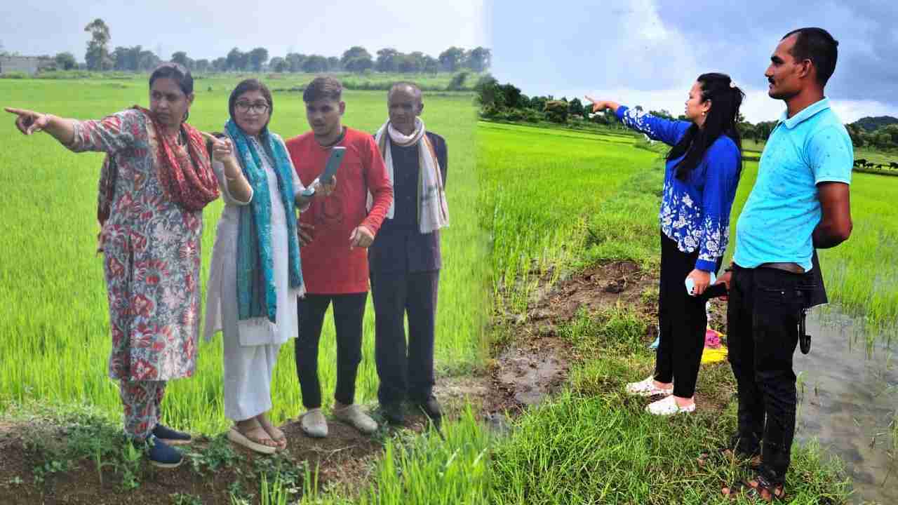 CG :  किसानों को अब आसानी से मिलेगा बीमा सहित अन्य योजनाओं क... - CG Sandesh