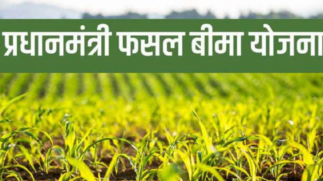 CG: फसल बीमा कराने की अवधि बढ़ी, 14 अगस्त तक कराई जा सकती है ... - CG Sandesh