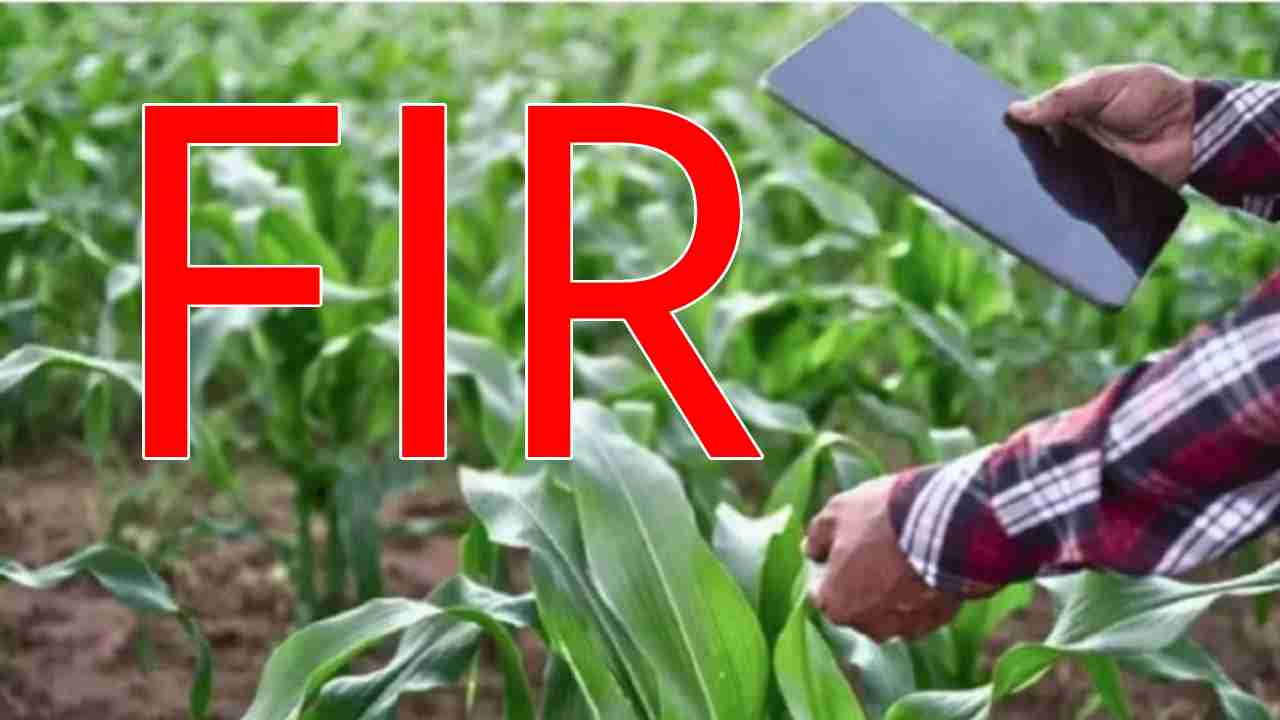 सांकरा : फसल सर्वे के दौरान सर्वेक्षक के साथ की मारपीट - CG Sandesh