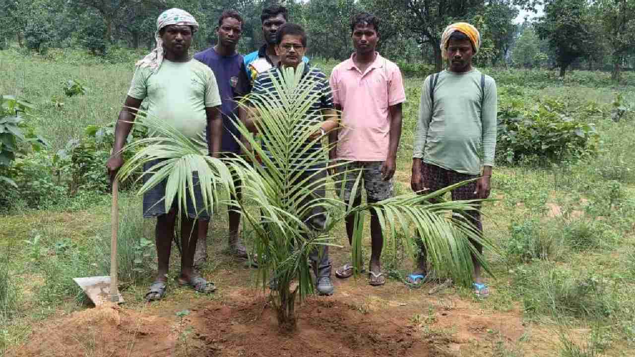 CG : इस खेती के लिए केन्द्र और राज्य सरकार दे रही 1-1 लाख रू... - CG Sandesh
