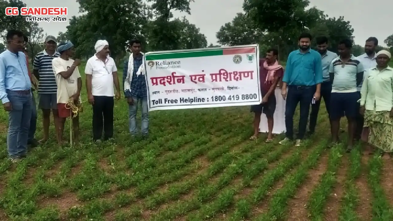 रिलायंस फाउंडेशन एवं इफको महासमुंद ने किसानों को दी हैंड होल्डिंग की सलाह