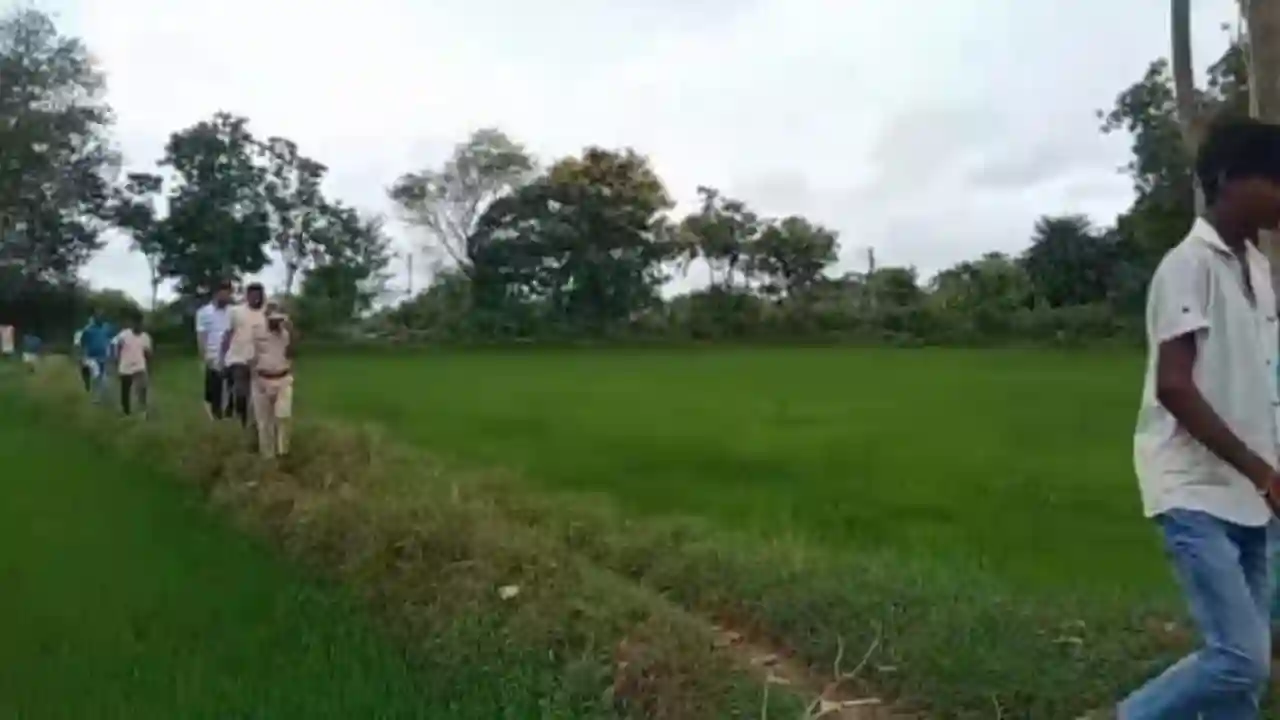 बसना नगर के समीप दिखा तेंदुआ ! वीडियो वायरल