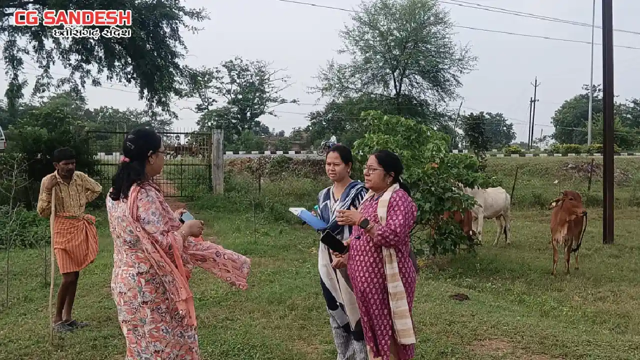 महासमुंद : मवेशियों को सड़क से हटाने की कार्रवाई सतत जारी