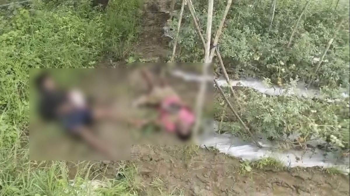 CG : खेत में टमाटर चोरी करने गए बाप - बेटे की मौत, हाईटेंशन ... - CG Sandesh