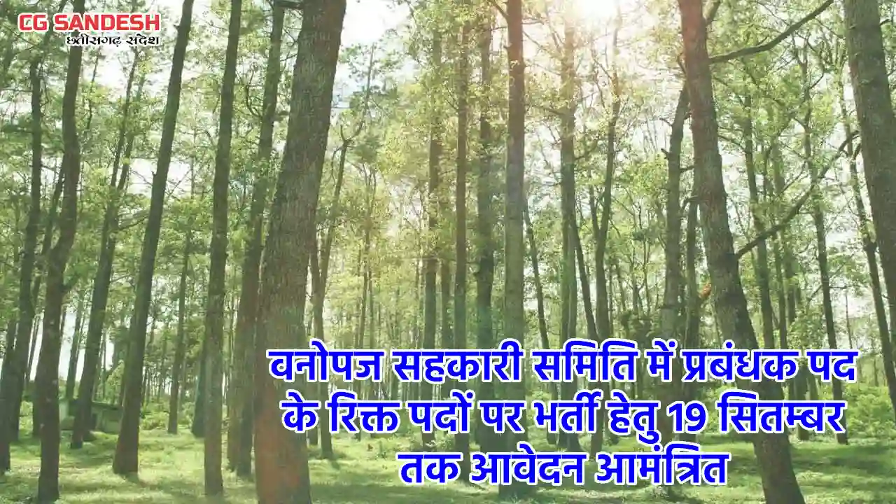 महासमुंद :  वनोपज सहकारी समिति में प्रबंधक पद के रिक्त पदों पर भर्ती हेतु 19 सितम्बर तक आवेदन आमंत्रित