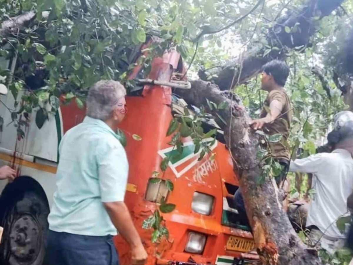 चलती बस में गिरा पेड़, चालक समेत 5 लोगों की मौके पर मौत - CG Sandesh