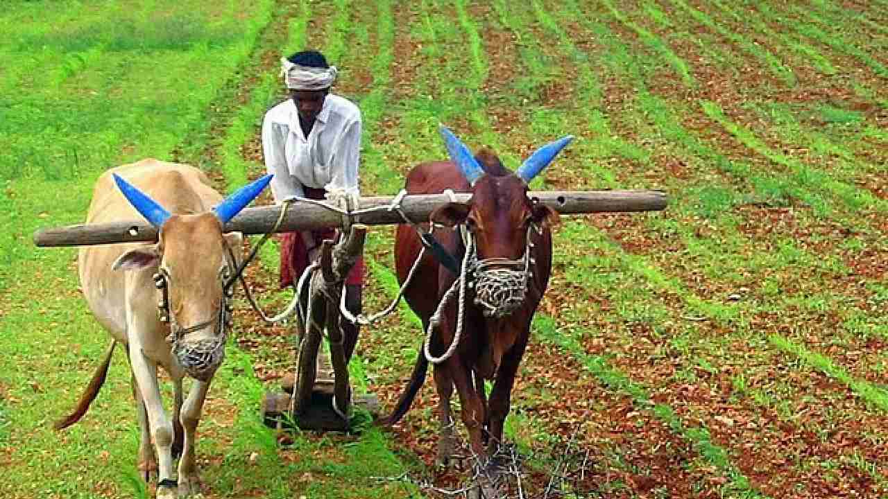 PKVY योजना के  तहत किसानों को दिए जा रहे प्रति हेक्टेयर 31,5... - CG Sandesh