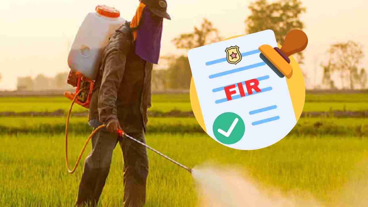 दवा छिड़काव के बाद नष्ट हुई फसल; FIR दर्ज, कंपनी का लाइसेंस ... - CG Sandesh