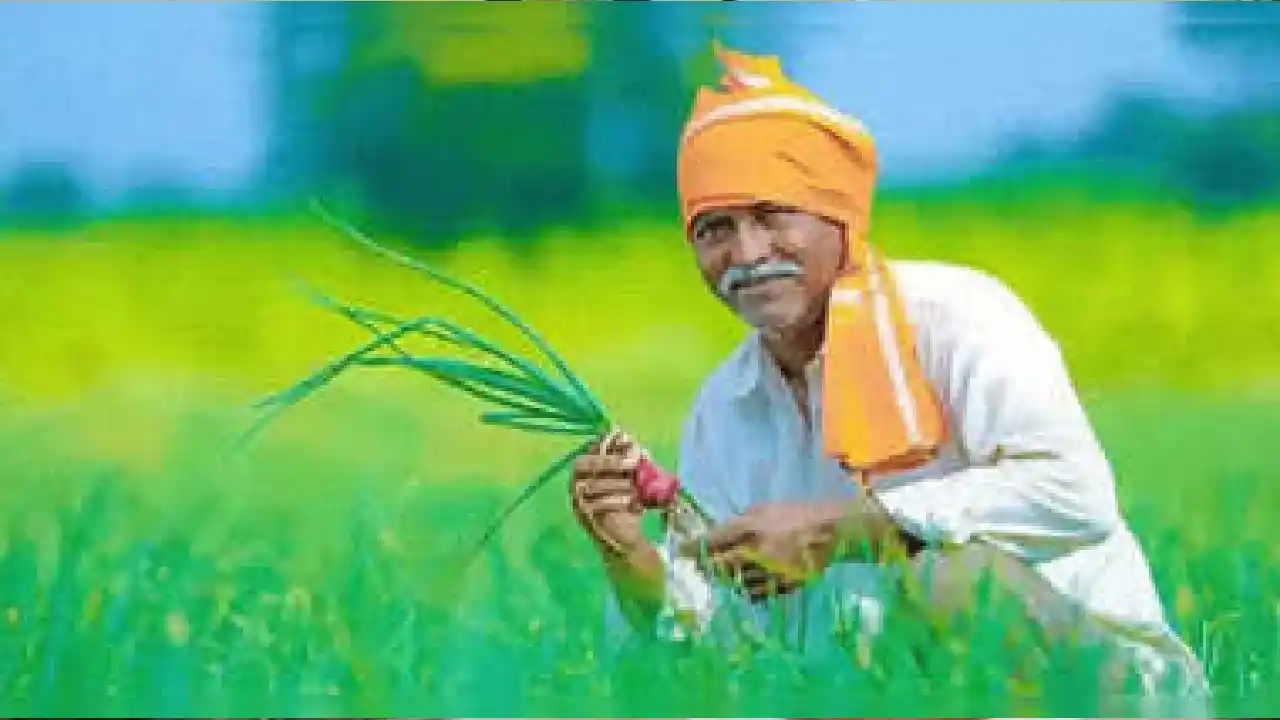 CG  : कृषक उन्नति योजना के तहत इन किसानों को मिलेगी सहायता र... - CG Sandesh