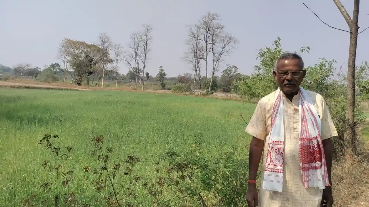 CG : कम लागत से गेहूं की फसल में किसानों को मिलेगा ज्यादा मु... - CG Sandesh