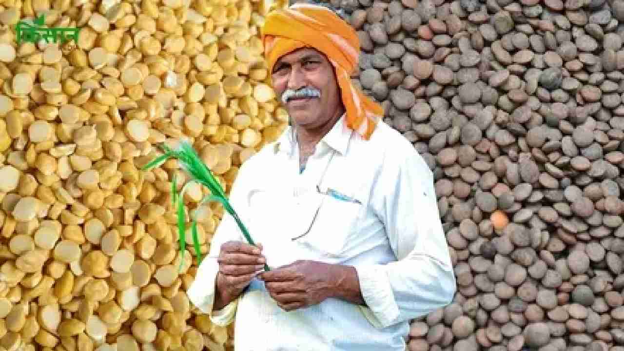 CG : कैसे बने बीज उत्पादक किसान, जानें डिटेल... - CG Sandesh