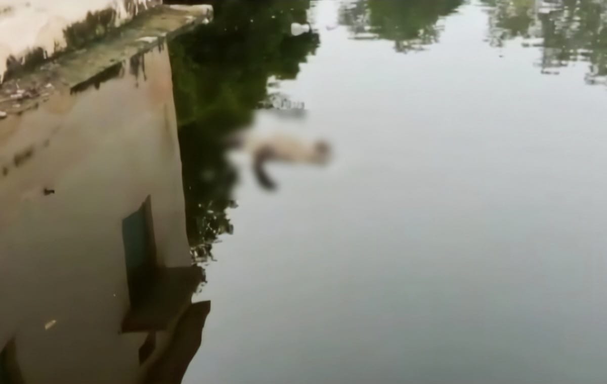 CG : तालाब में तैरती मिली युवक की लाश, इलाके में फैली सनसनी  - CG Sandesh