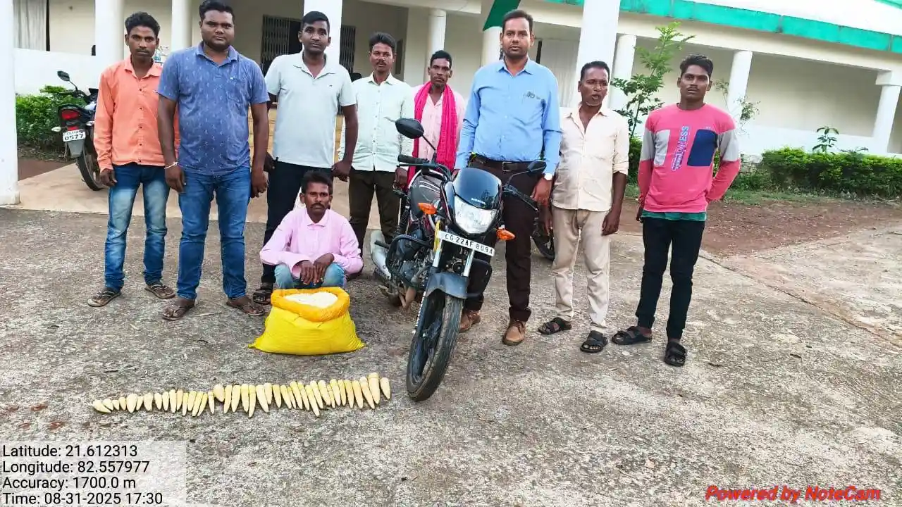 CG :बांस करील के अवैध परिवहन पर कार्रवाई आरोपी गिरफ्तार - CG Sandesh