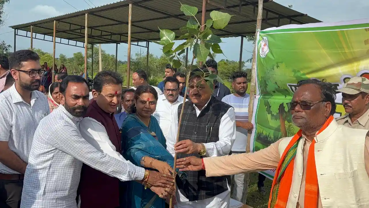 महासमुंद : प्रभारी मंत्री दयालदास बघेल वृक्षारोपण और सायकल व... - CG Sandesh