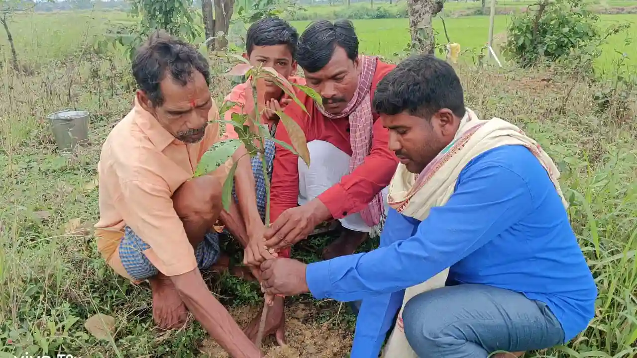 एक आदमी एक वृक्ष सुनहरा हो भविष्य की थीम पर गजराडीह में नवरा... - CG Sandesh