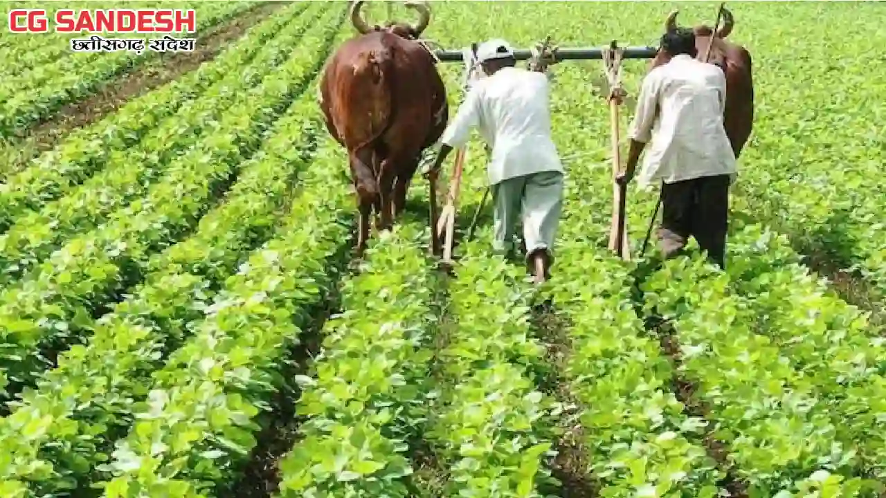 CG : बीमा सम्बन्धी जानकारी के लिए किसान इस नम्बर पर कर सकते ... - CG Sandesh