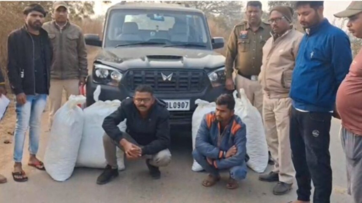 महासमुंद : पुलिस ने स्कॉर्पियो से पकड़ा 40 लाख का गांजा, दो ... - CG Sandesh