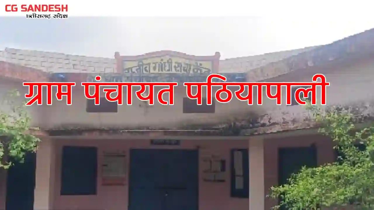 बसना : ग्राम पंचायत पठियापाली ने किस काम पर कितना किया खर्च,... - CG Sandesh