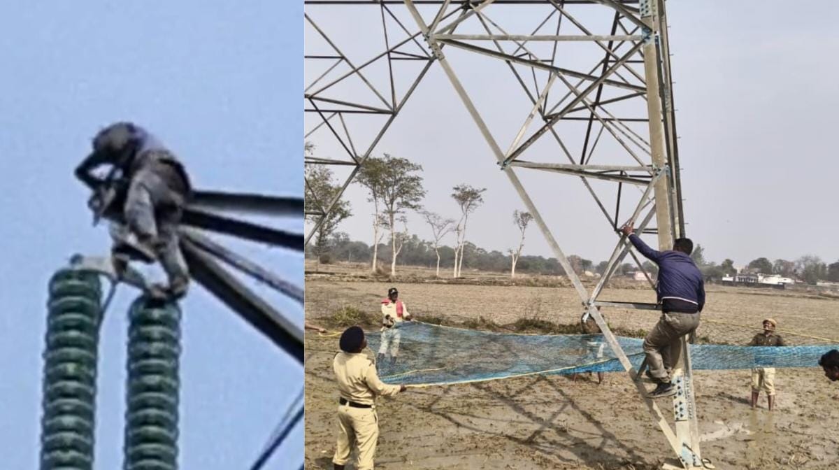 CG : टावर पर चढ़ा किसान, धान टोकन नहीं कटने से परेशान, मचा ह... - CG Sandesh