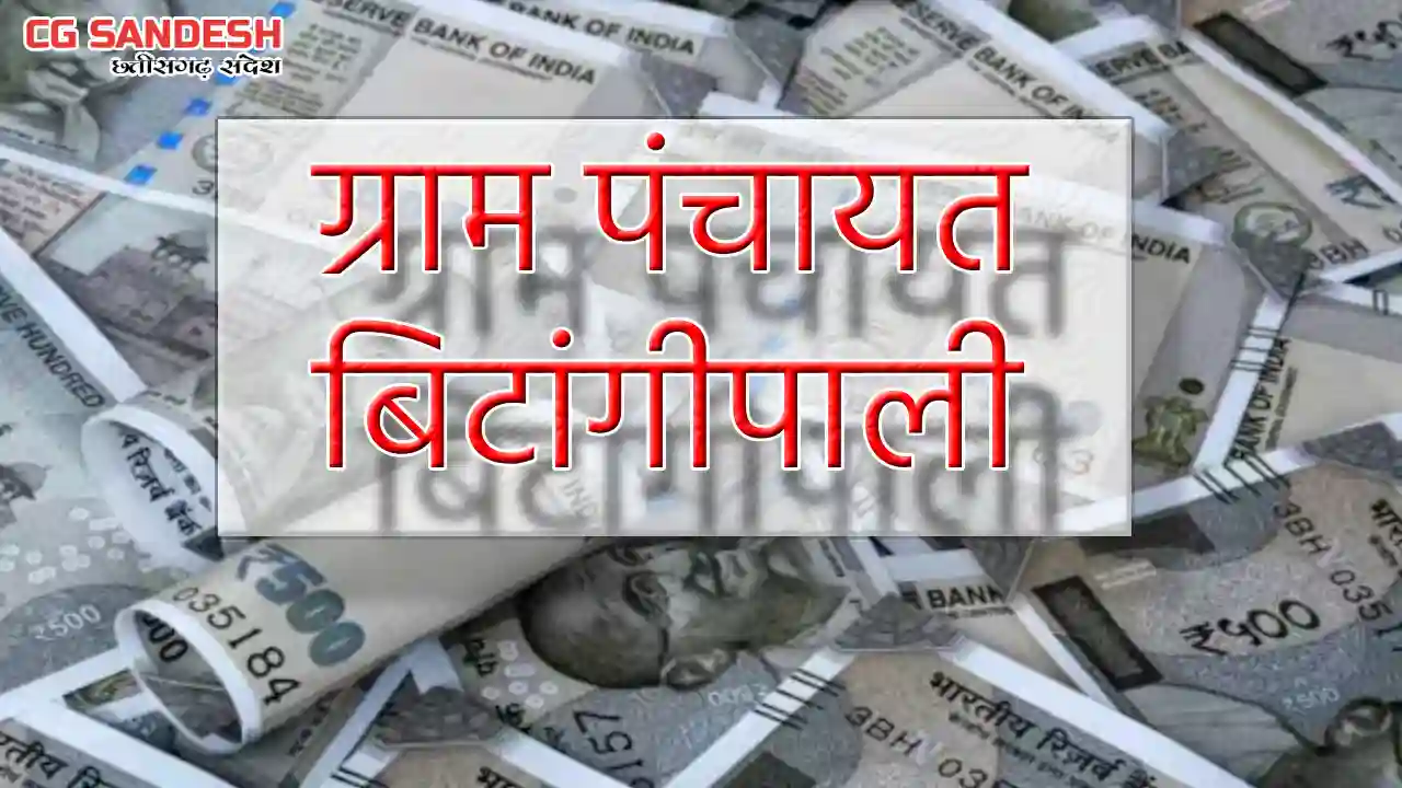 बसना : ग्राम पंचायत बिटांगीपाली ने किस काम पर कितना किया खर्... - CG Sandesh