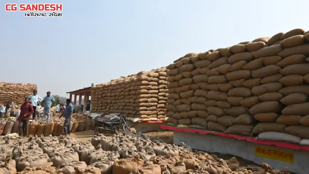 महासमुंद : 5.20 लाख मीट्रिक टन से अधिक धान की खरीदी - CG Sandesh
