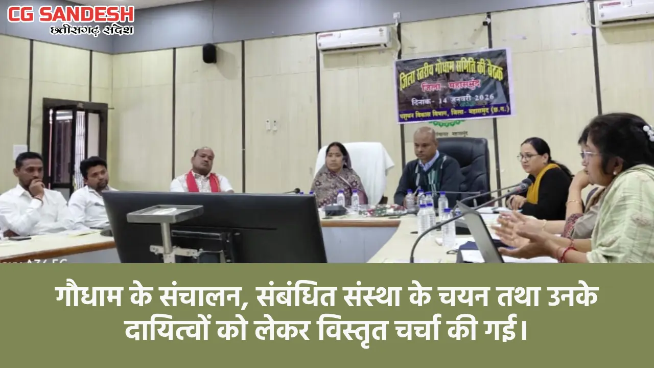महासमुंद : जिला स्तरीय गौधाम समिति की बैठक सम्पन्न, घुमंतु प... - CG Sandesh