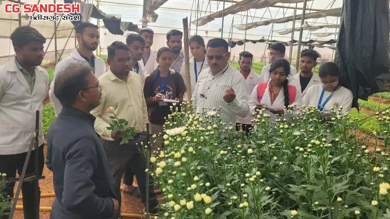 महासमुंद : ग्राम मालीडीह स्थित गुलाब एवं जरबेरा पॉलीहाउस का ... - CG Sandesh