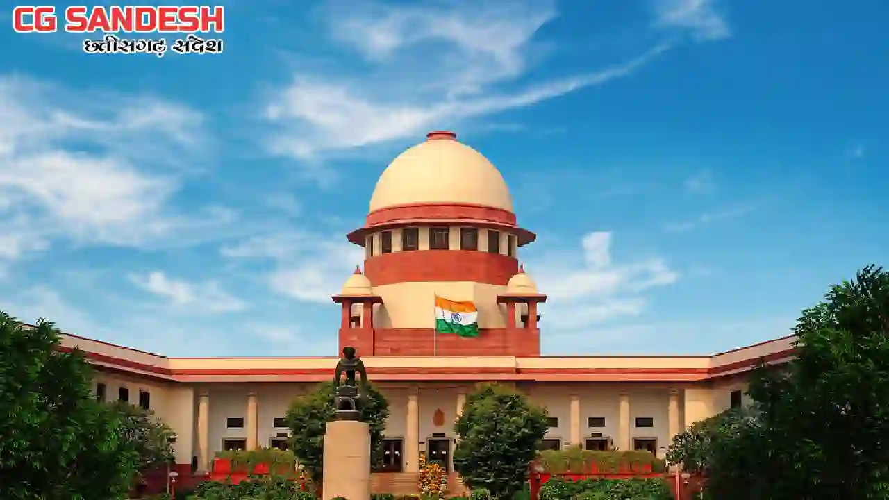 कुत्ते को खाना खिलाने वालों को घटनाओं के लिए ठहराया जाएगा जव... - CG Sandesh