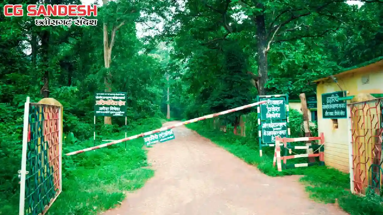 CG : भोरमदेव अभयारण्य में जल्द ही शुरू होगी जंगल सफारी - CG Sandesh