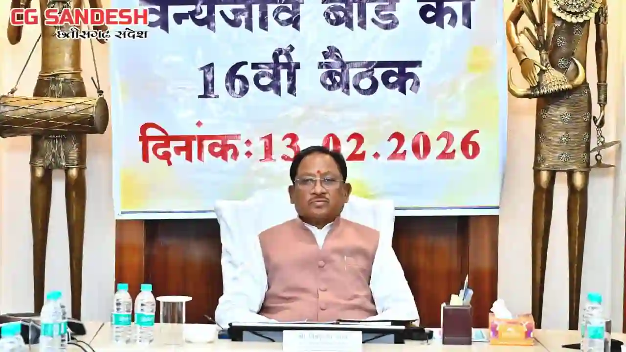 मुख्यमंत्री साय की अध्यक्षता में छत्तीसगढ़ राज्य वन्य जीव बोर्ड की बैठक संपन्न