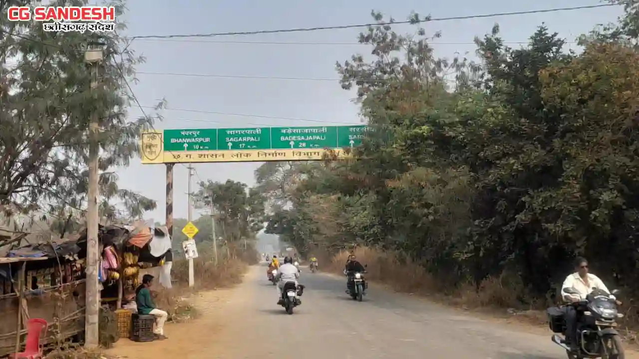 बसना : डालियों से ढ़के PWD के साइन बोर्ड, राहगीरों को हो रही ... - CG Sandesh