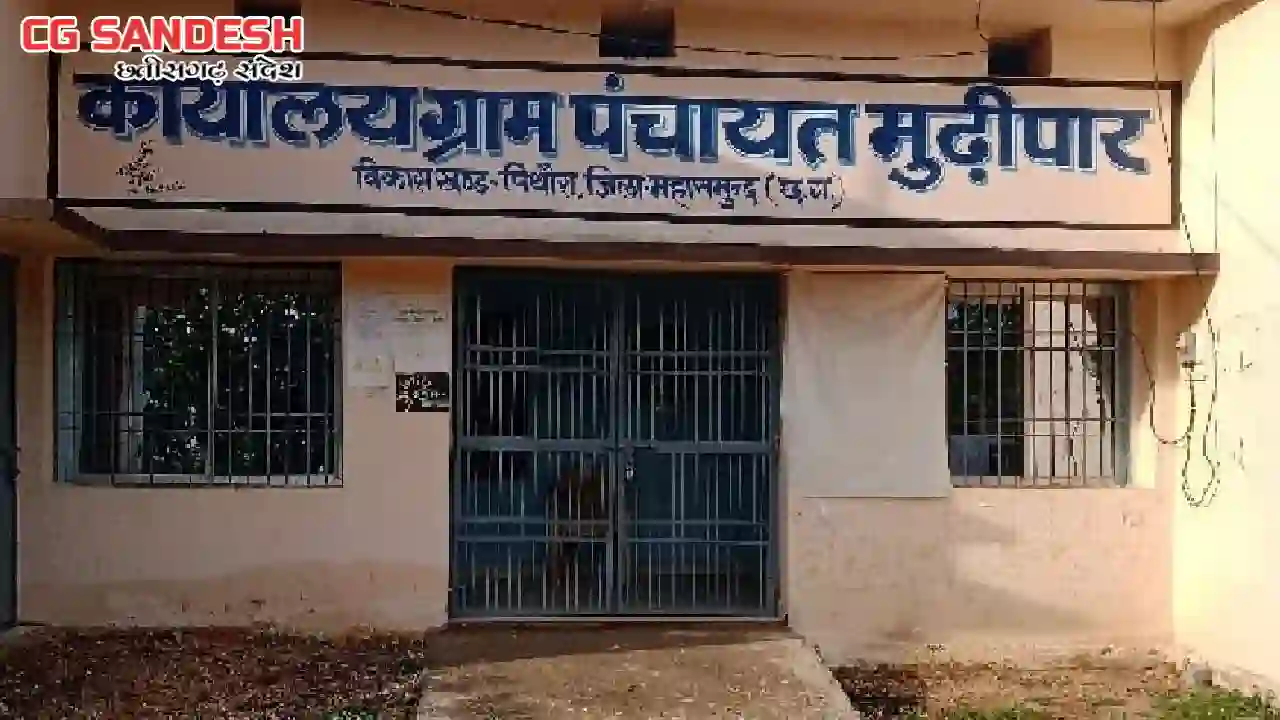पिथौरा : दवाई छिड़काव पर ग्राम पंचायत मुढ़ीपार ने खर्च किये 23... - CG Sandesh