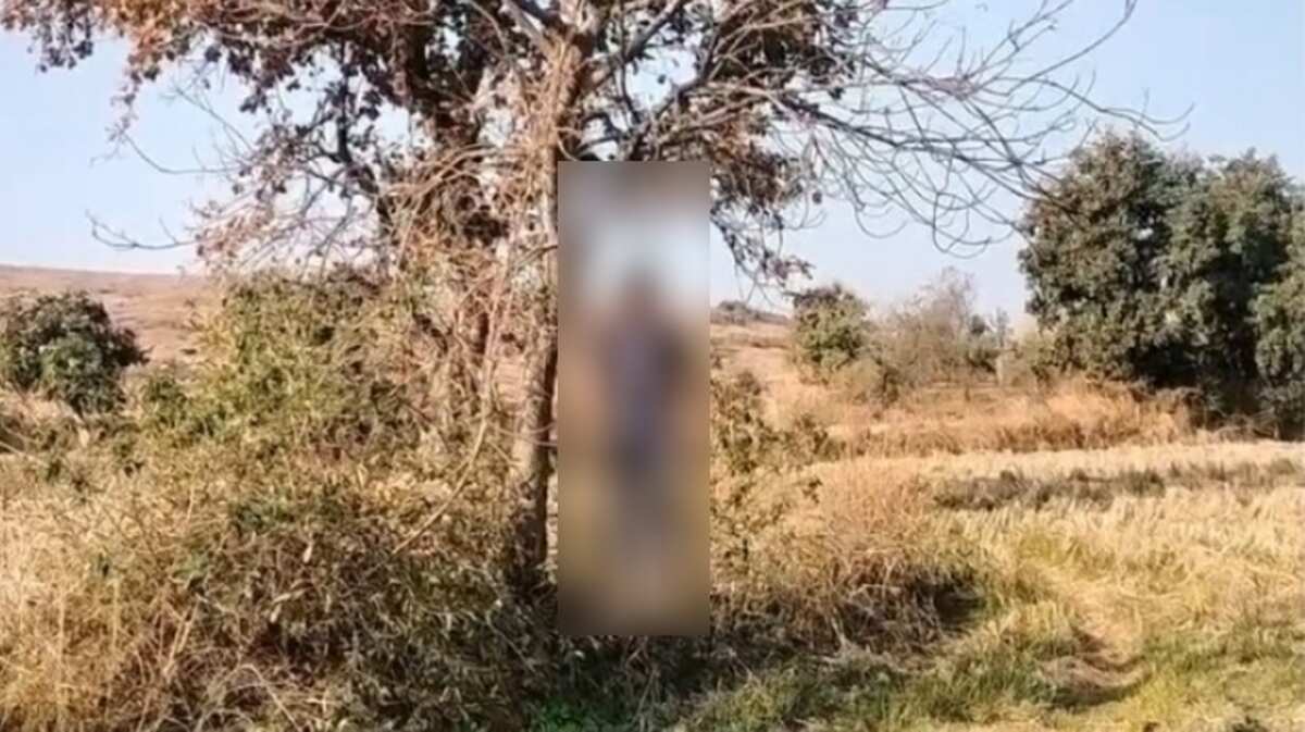 CG : पेड़ पर लटकती मिली अज्ञात युवक की लाश, जांच में जुटी पु... - CG Sandesh