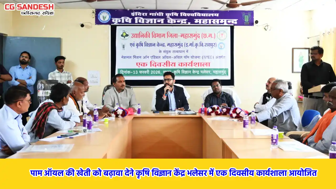 महासमुंद : नेशनल मिशन ऑन एडिबल ऑयल - ऑयल पाम योजना से किसानो... - CG Sandesh