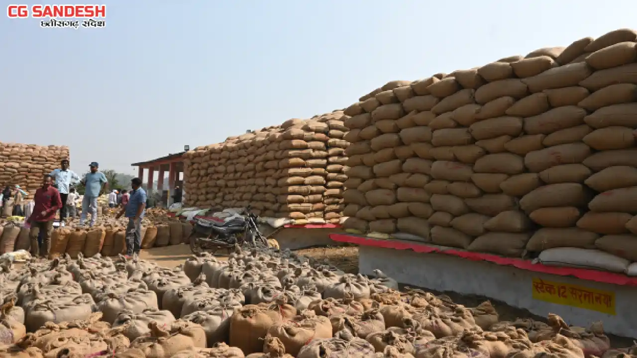 महासमुंद : विशेष व्यवस्था के तहत 5 फरवरी को 1304 किसानों से ... - CG Sandesh