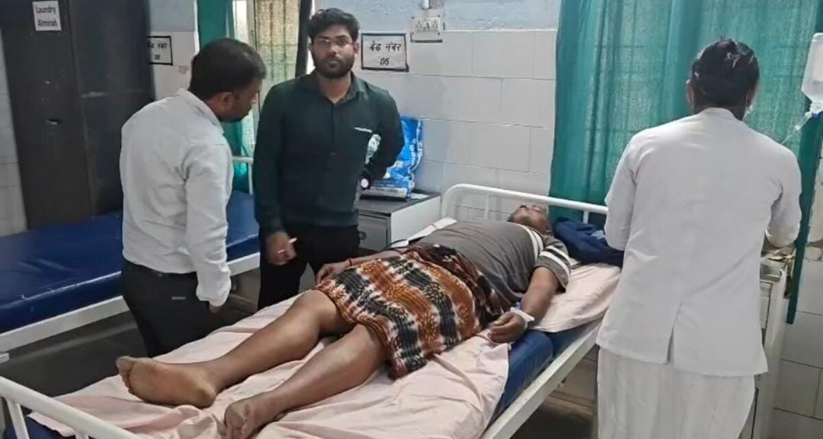  CG : मधुमक्खियों के छत्ते पर बाज ने मारी चोंच, हमले से खेत ... - CG Sandesh