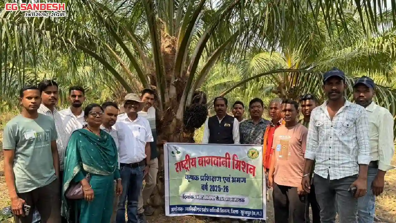 छत्तीसगढ़ के किसानों ने ओडिशा में देखी ऑयल पाम की खेती - CG Sandesh