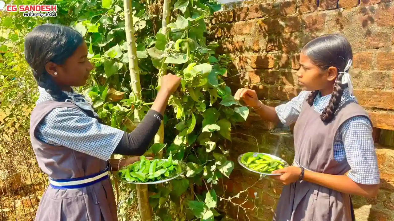 विद्यालय की बगिया से बच्चों को मिल रहा पौष्टिक आहार - CG Sandesh