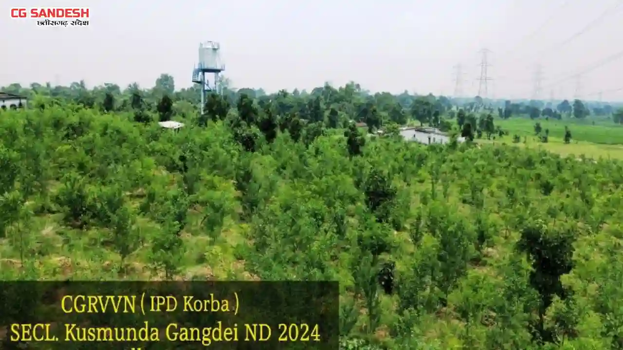CG :  कुसमुंडा परिक्षेत्र में 20,000 पौधों का सफल रोपण - CG Sandesh