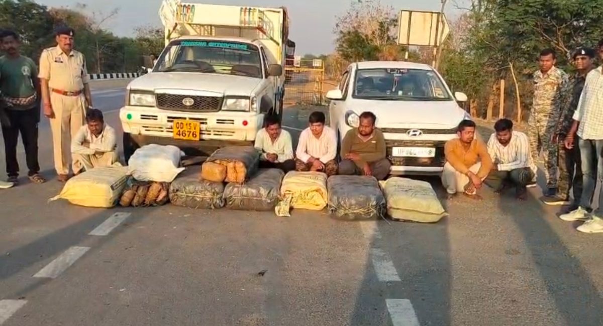 महासमुंद ब्रेकिंग : पुलिस को बड़ी सफलता, तरबूज की आड़ में 22... - CG Sandesh