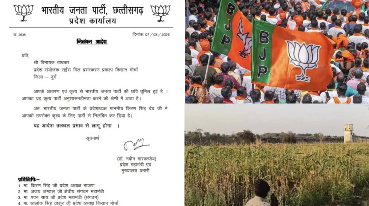 CG ब्रेकिंग : अफीम खेती मामले में भाजपा का एक्शन, बीजेपी नेत... - CG Sandesh