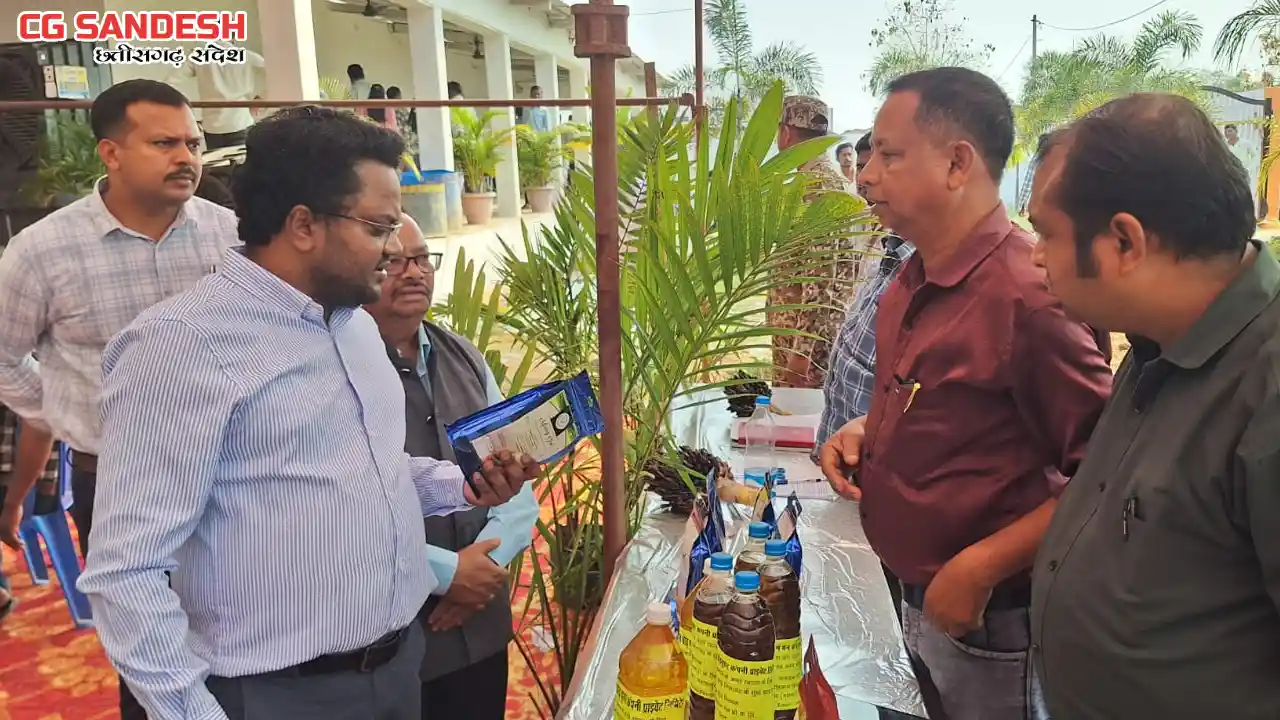 बसना : मिलाराबाद जैविक खेती हब के रूप में बना रहा है पहचान, ... - CG Sandesh