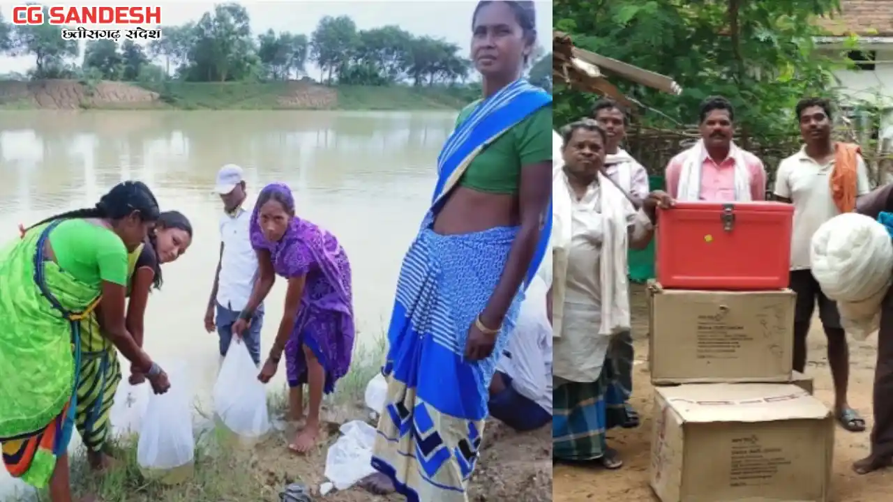 महासमुंद : किशनपुर में  झींगा पालन से मां दुर्गा समिति को मि... - CG Sandesh